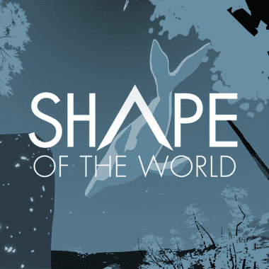Shape of the World